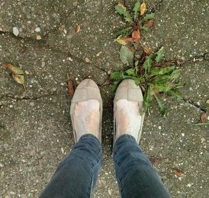 10646873_10203979959953367_4997069353998453975_n